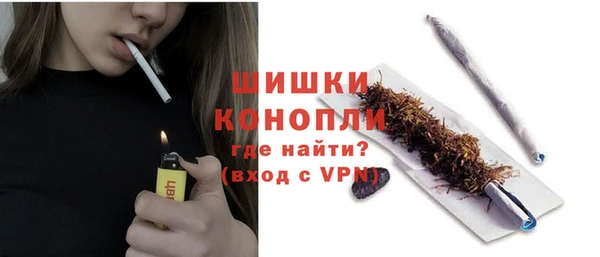 стафф Богданович