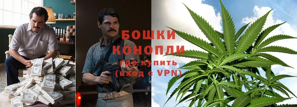 стафф Богданович
