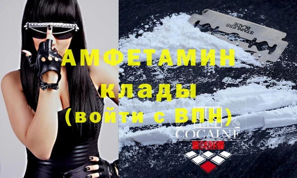 стафф Богданович